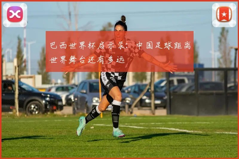 巴西世界杯启示录:中国足球距离世界舞台还有多远