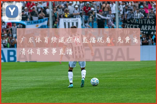 广东体育频道在线直播观看_免费高清体育赛事直播